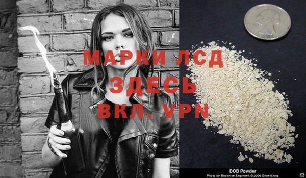 сатива Аркадак