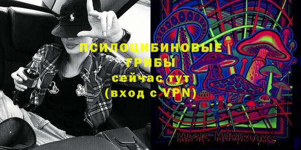 сатива Аркадак