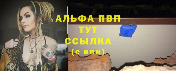 сатива Аркадак