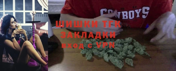 гидра Арсеньев