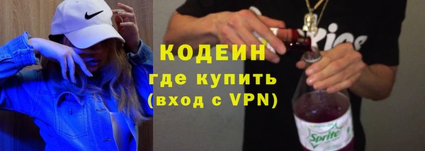 гидра Арсеньев