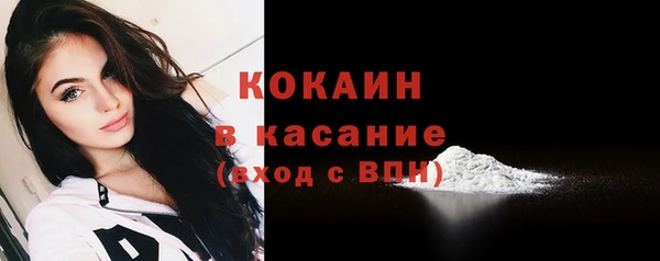 гидра Арсеньев