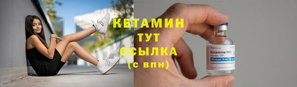 гидра Арсеньев