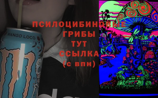 сатива Аркадак
