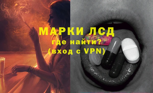 сатива Аркадак