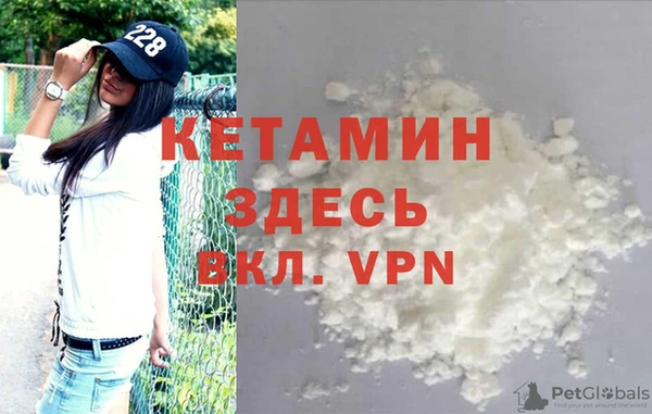 сатива Аркадак