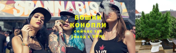 сатива Аркадак